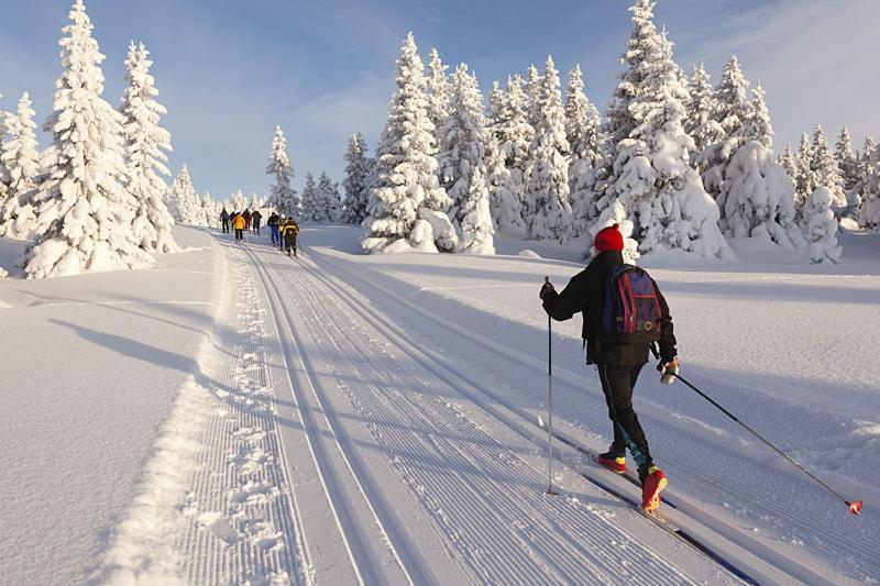 Ferienwohnung Graubunden Bonaduz Exteriör bild